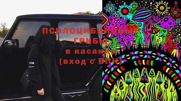 дурь Абинск