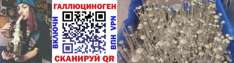 blacksprut   где купить наркоту  Горячеводский  Галлюциногенные грибы мухоморы 